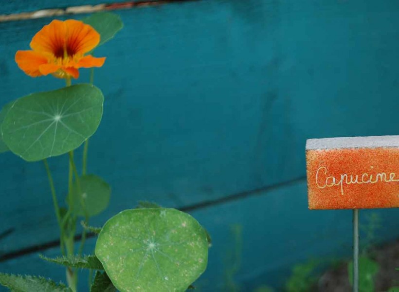 Étiquettes de jardin