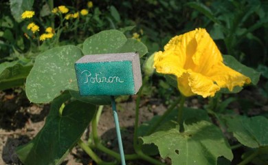 Étiquettes de jardin