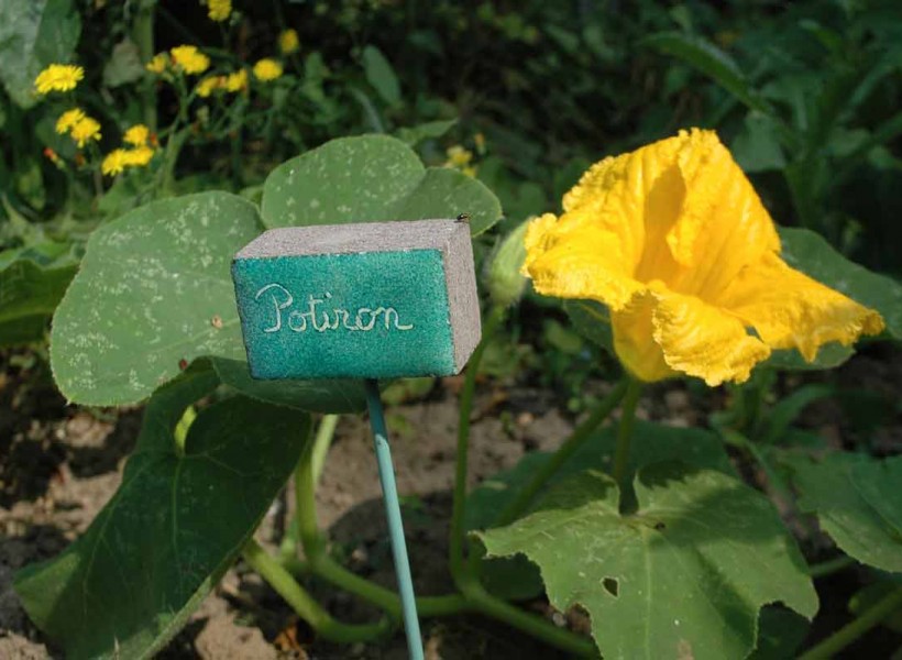 Étiquettes de jardin