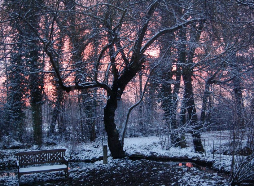 Bientôt, l’exposition de Noël en Décembre